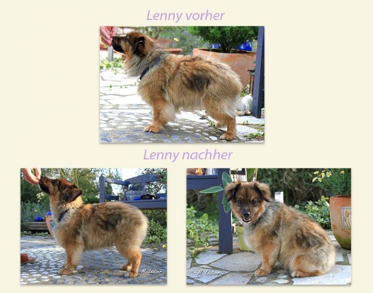 lenny-vorher-nachher